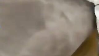 سكس تانكو مع انطونيو سليمان